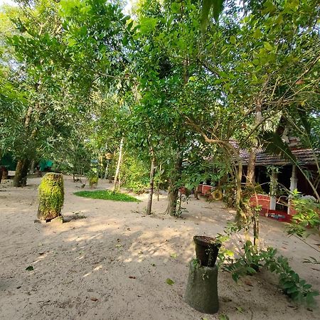 Abba Marari Beach Villas & Homestay Mararikulam Alappuzha Kültér fotó